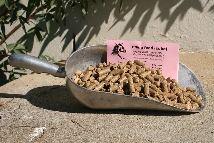 Riding Feed MF 12% (Cube) packaging